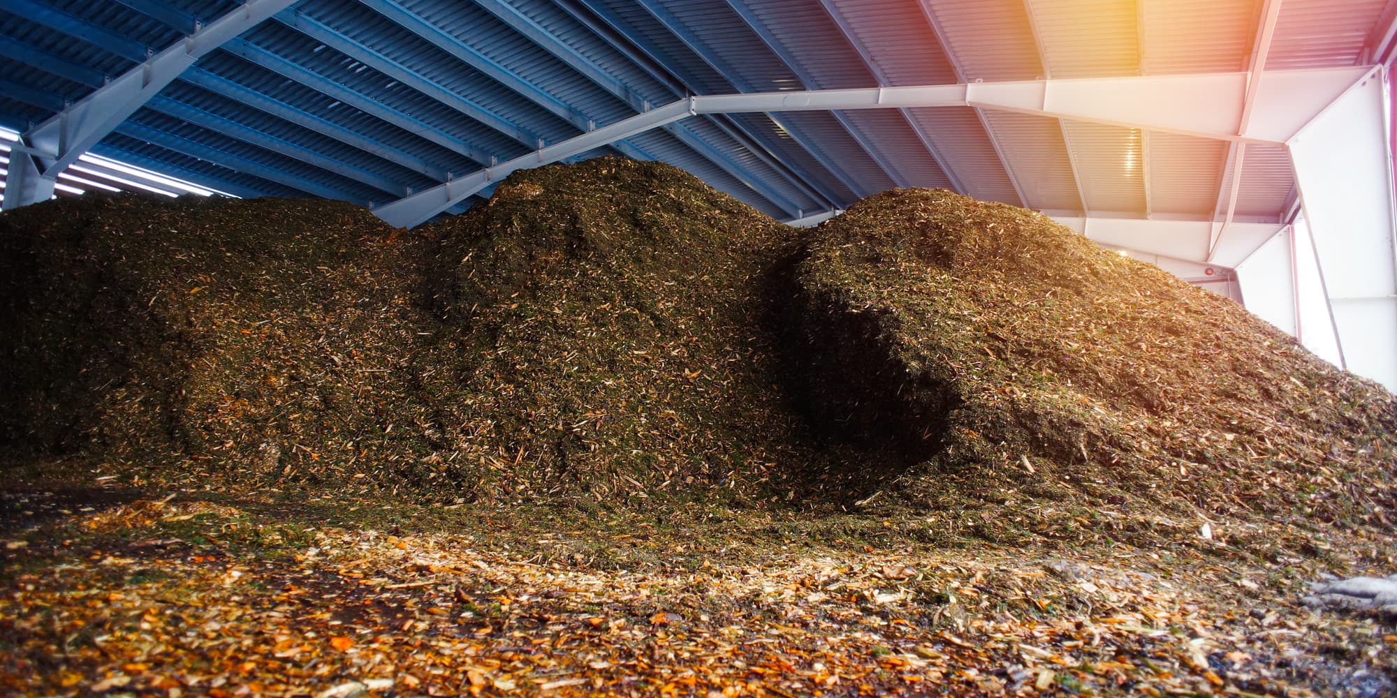biomass-hero Biomass Plant