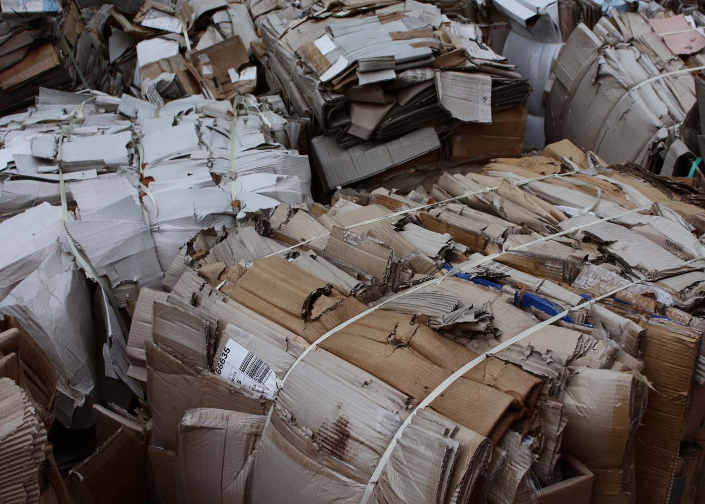 waste-recycle Waste Recycle